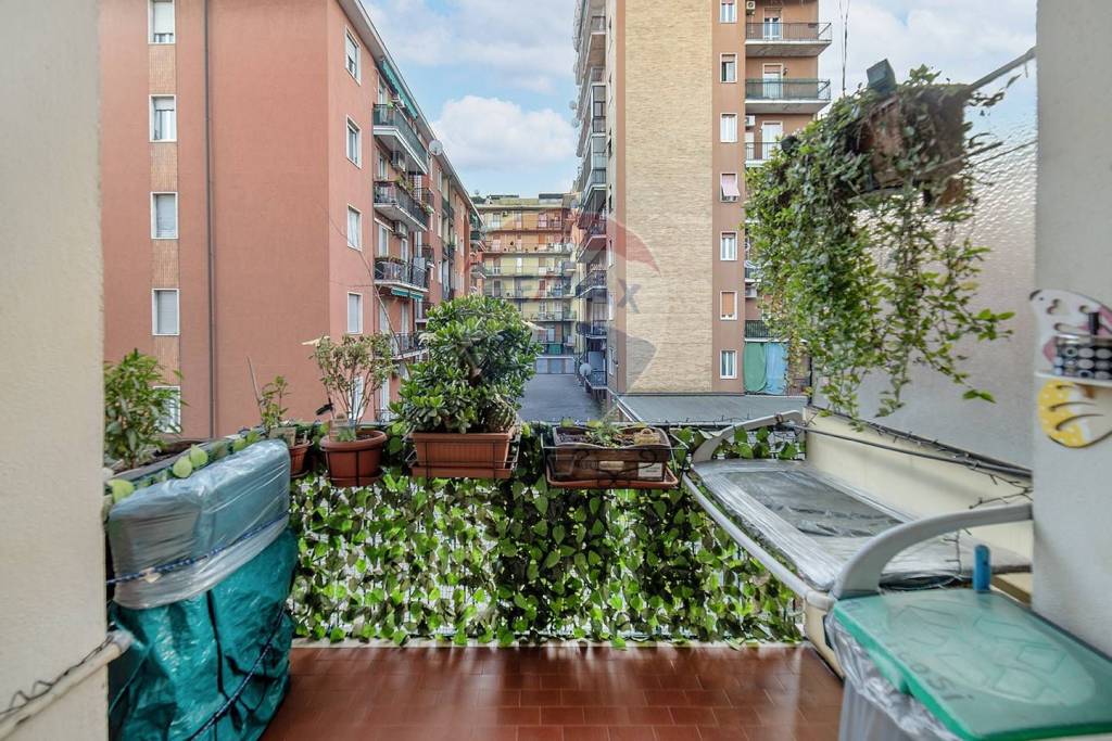 Appartamento in vendita a Cologno Monzese via Petrarca, 35