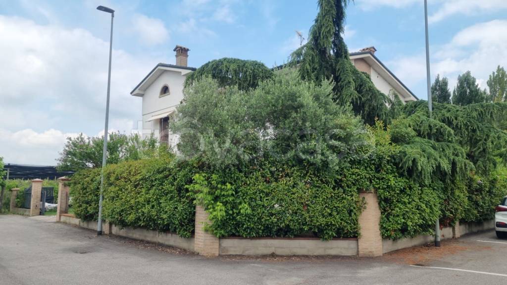Villa in in vendita da privato a Mirandola via Carlo Fila, 40