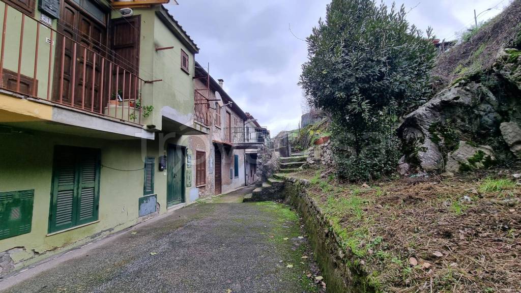 immagine annuncio 12 di 14