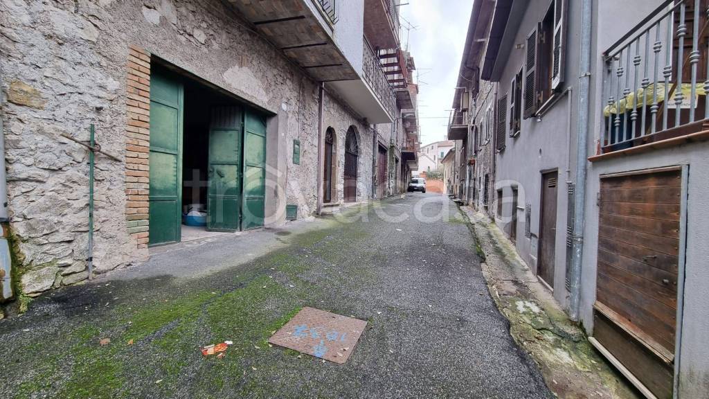 immagine annuncio 1 di 14