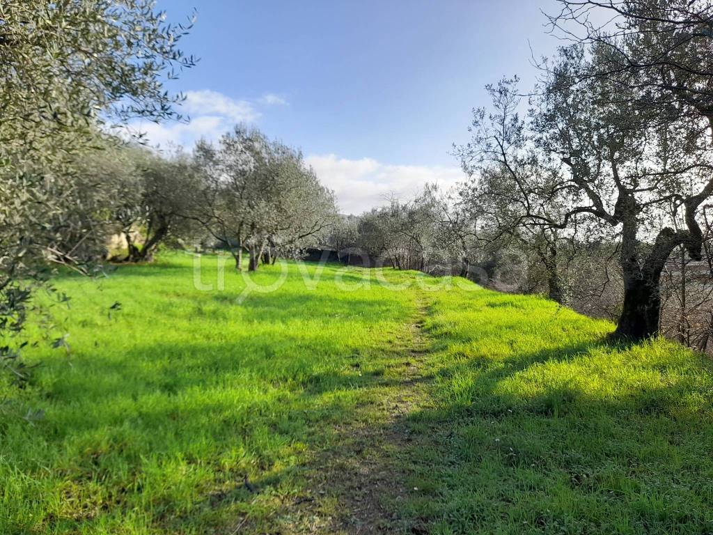 immagine annuncio 1 di 2
