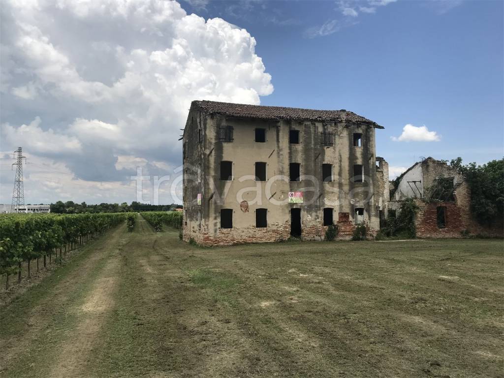 immagine annuncio 6 di 8
