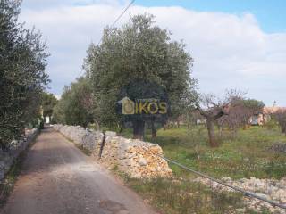 Terreno agricolo in vendita a polignano a mare strada comunale monsignore