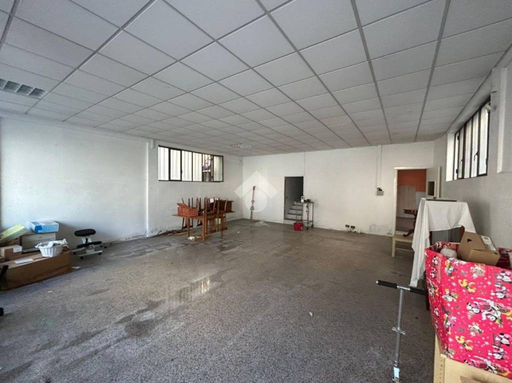 immagine annuncio 11 di 15