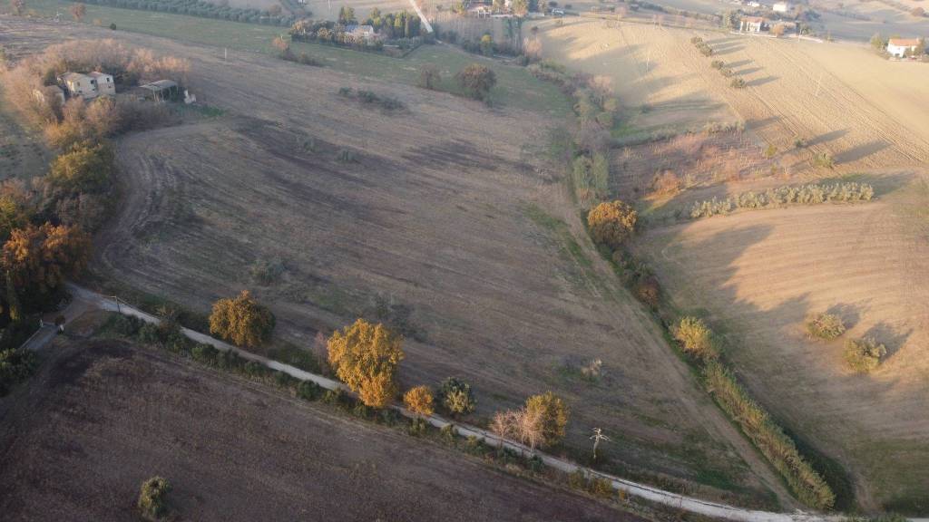 immagine annuncio 8 di 11