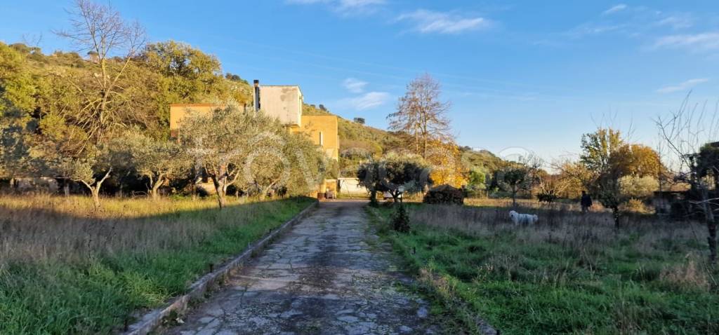 Villa in in vendita da privato a Sezze via Roccagorga