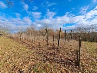 Terreno agricolo in vendita a oriolo romano 