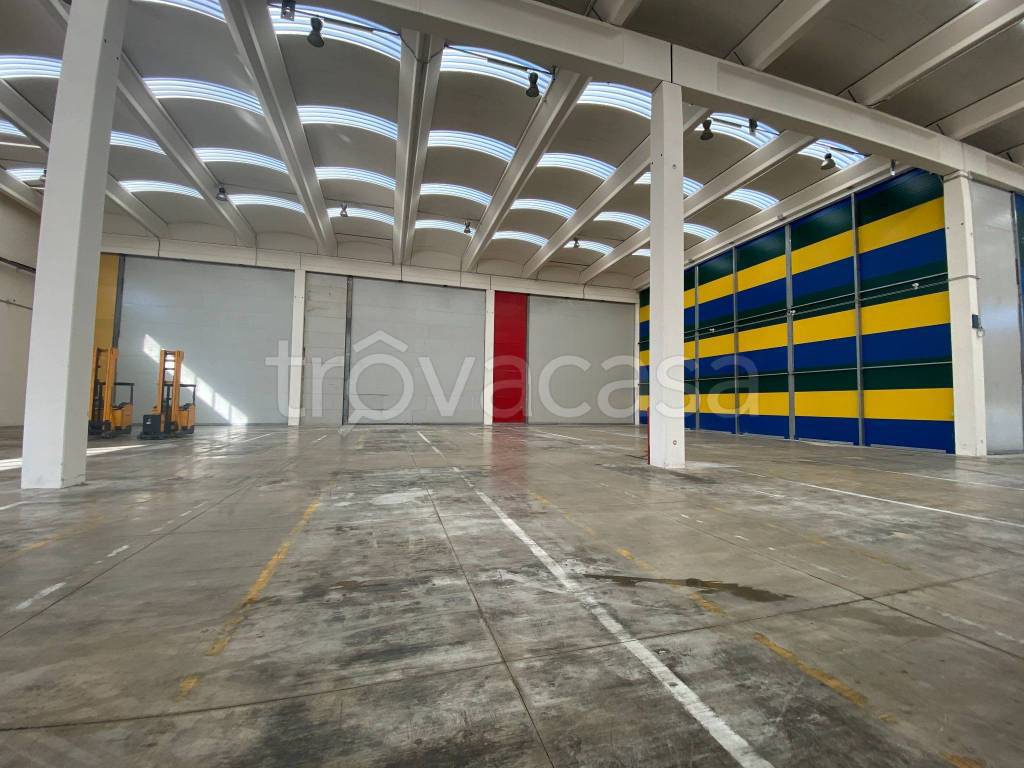 immagine annuncio 3 di 11