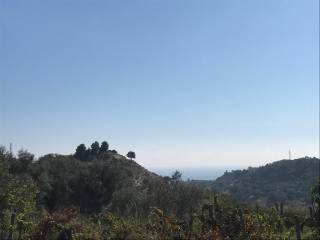 Terreno agricolo in vendita ad ardore strada comunale per ardore