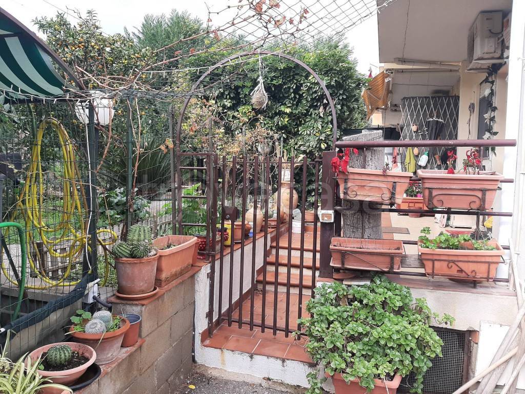 immagine annuncio 2 di 14