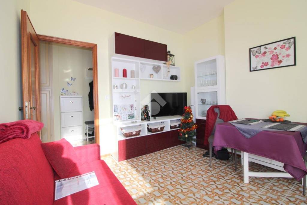 immagine annuncio 1 di 14