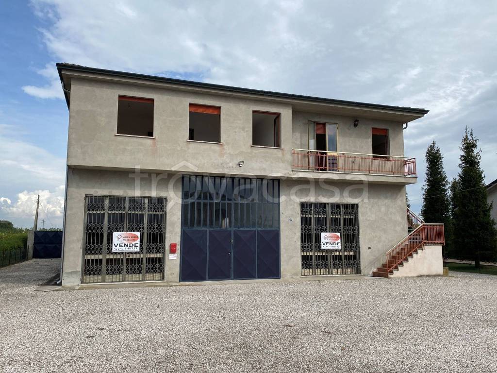 Capannone Industriale in vendita a Salara via Bosco Papino, 569