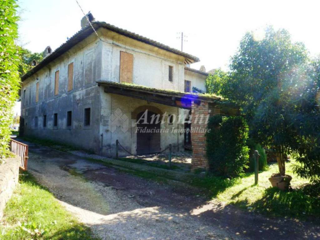 immagine annuncio 5 di 14