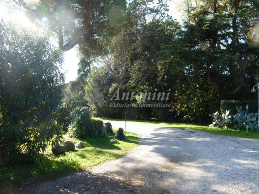 immagine annuncio 8 di 14