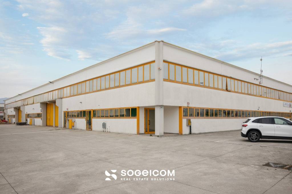 immagine annuncio 5 di 13