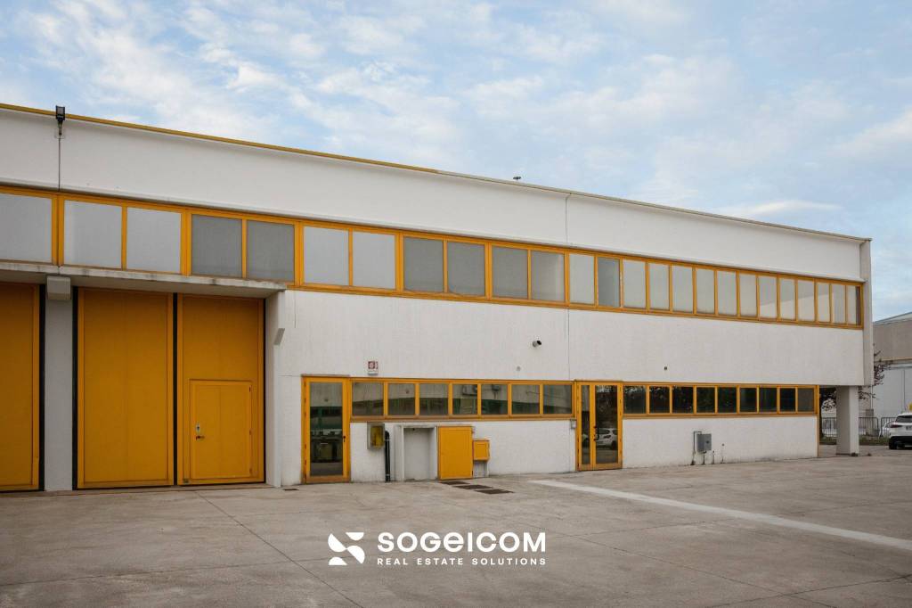 immagine annuncio 6 di 13