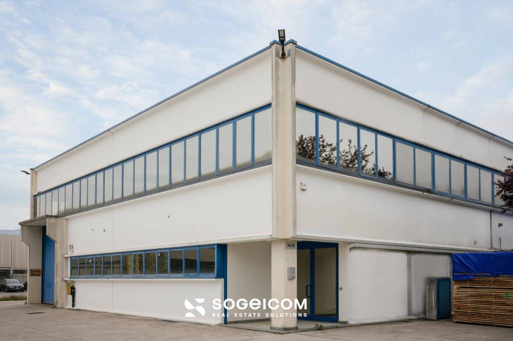 immagine annuncio 4 di 13