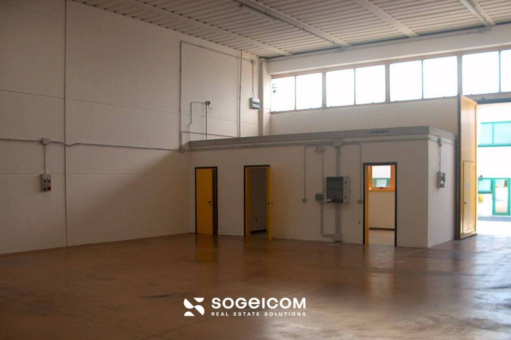 immagine annuncio 7 di 13