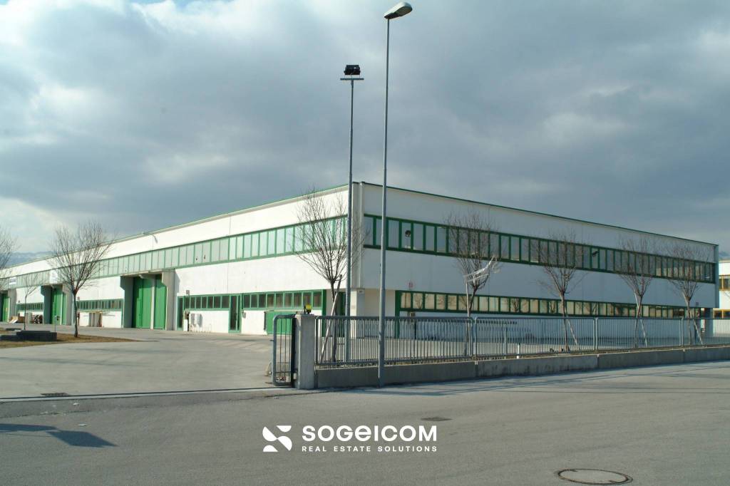 immagine annuncio 3 di 13