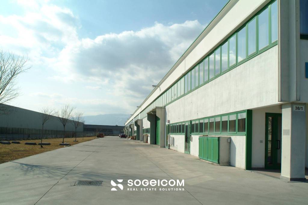 immagine annuncio 2 di 13