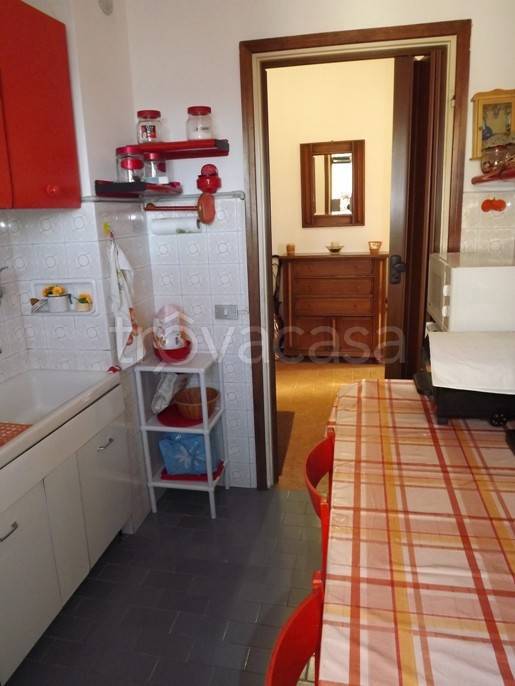 immagine annuncio 5 di 14