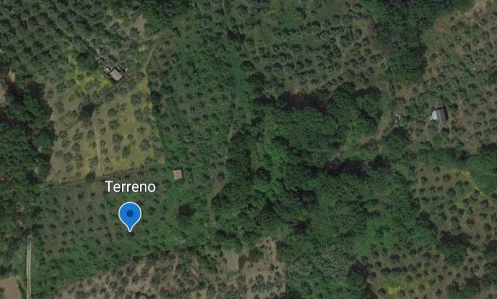 Terreno Agricolo in vendita a Nocera Terinese via Adamo Canonico