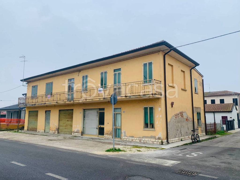 immagine annuncio 3 di 14