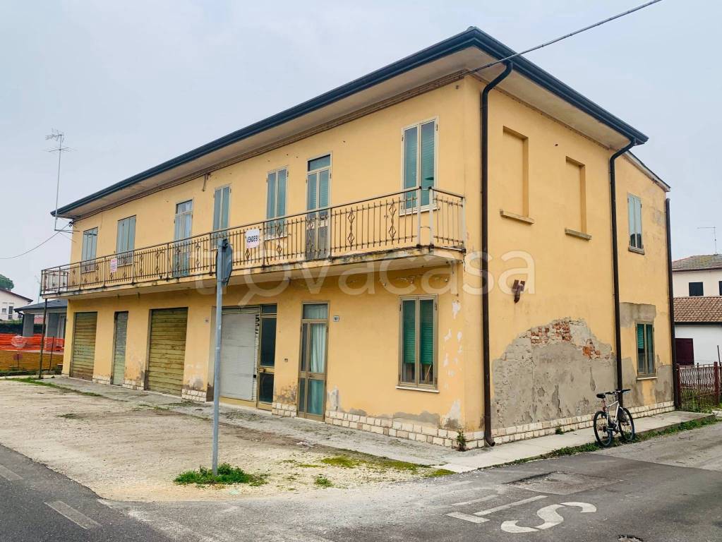 immagine annuncio 4 di 14