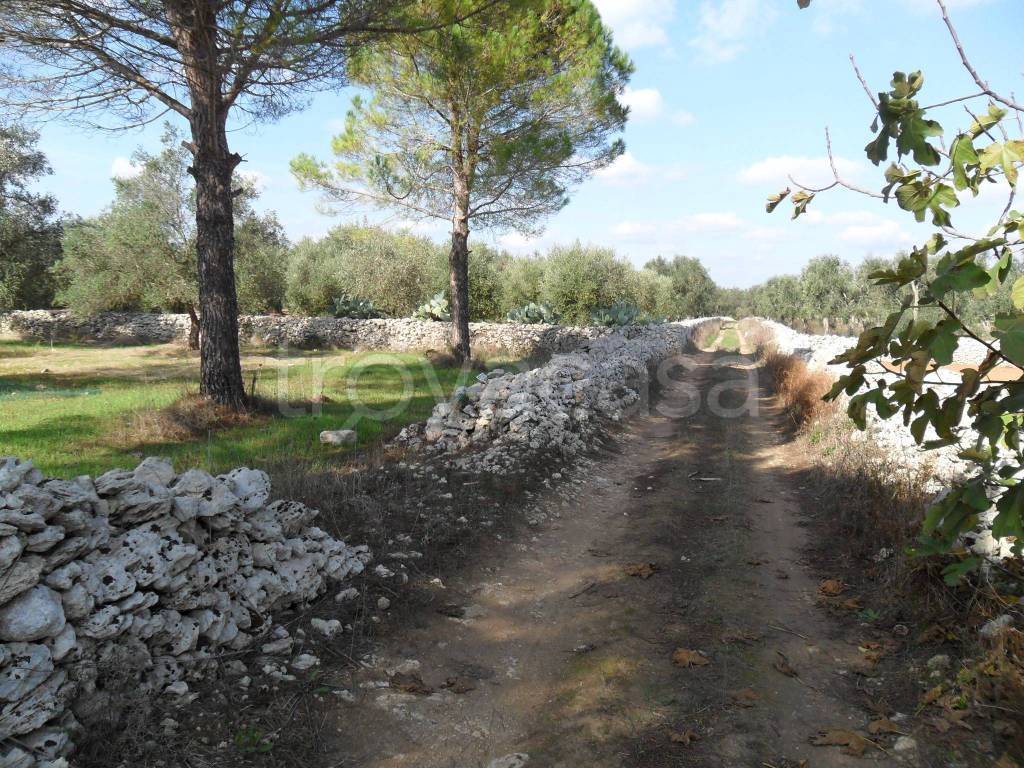 immagine annuncio 4 di 11