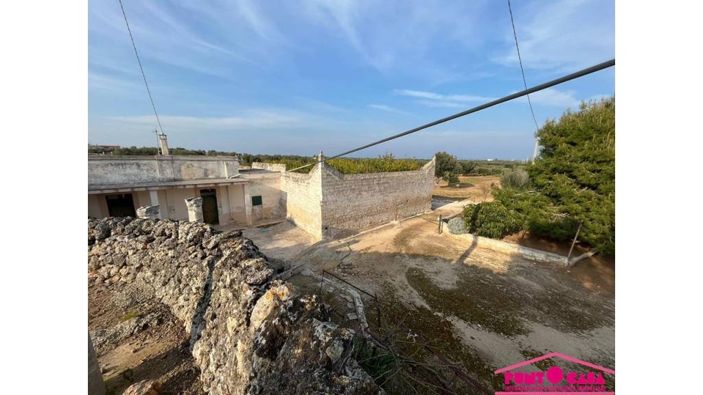 immagine annuncio 7 di 8