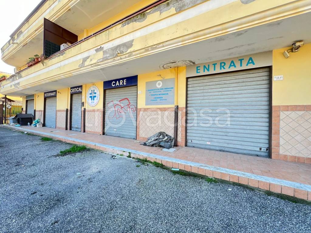 immagine annuncio 3 di 6