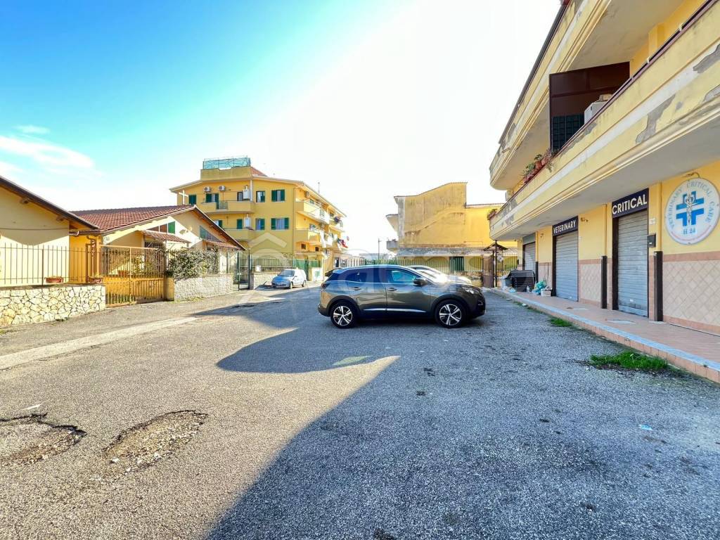 immagine annuncio 5 di 6