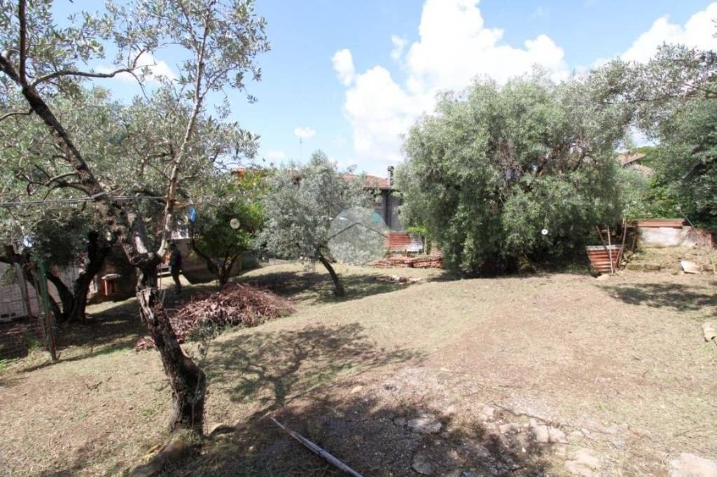 immagine annuncio 6 di 14