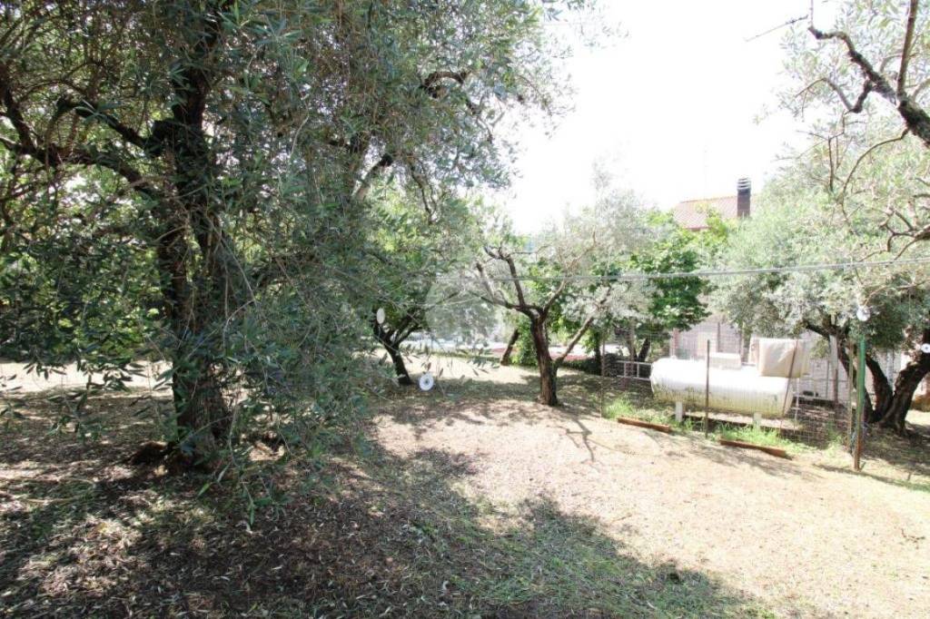 immagine annuncio 9 di 14