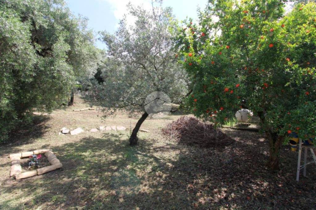 immagine annuncio 10 di 14