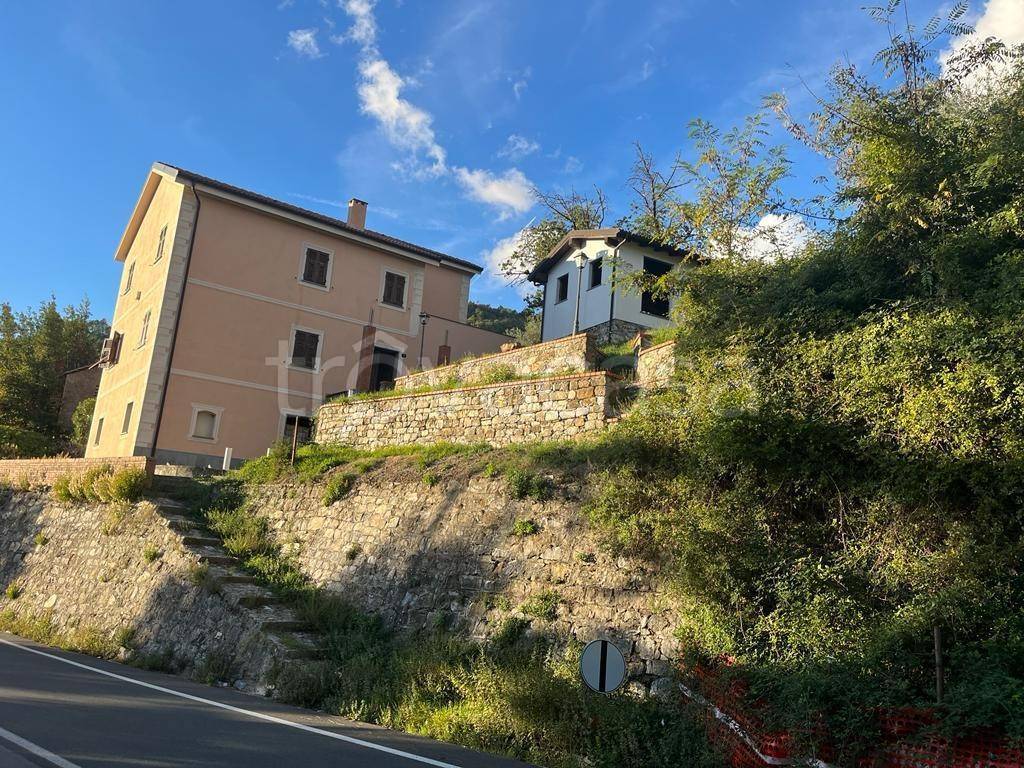 Villa Bifamiliare in vendita a Castiglione Chiavarese localita' Morasca, 2
