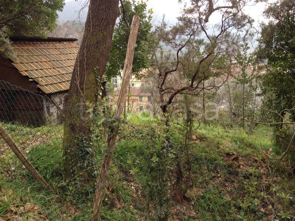 Terreno Residenziale in vendita a Casarza Ligure sp523