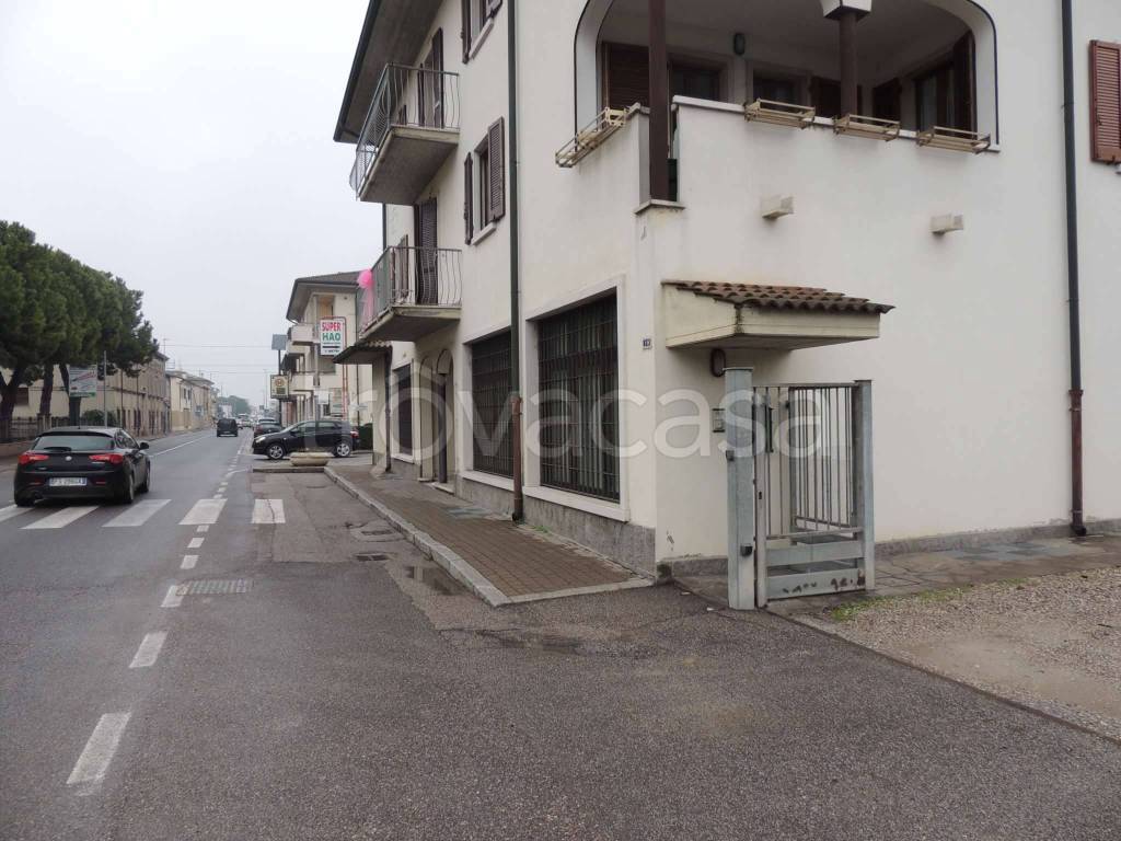 immagine annuncio 2 di 8
