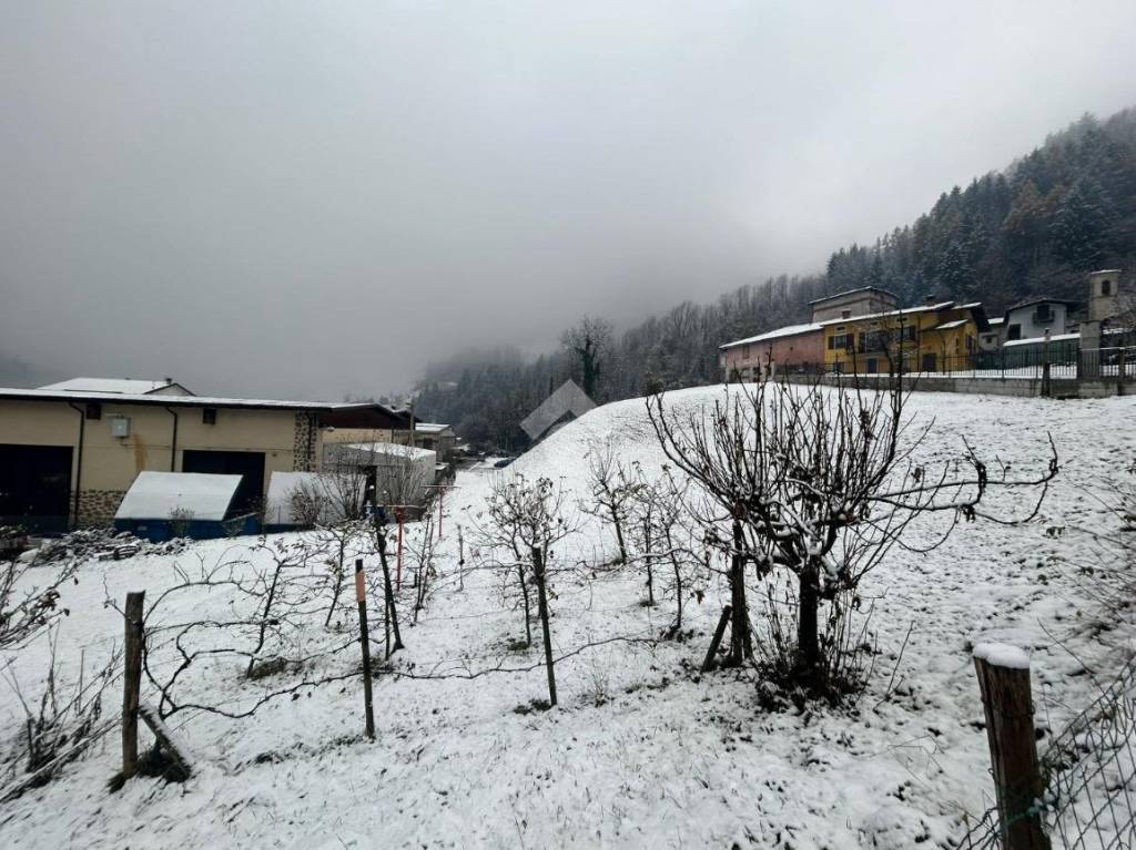 immagine annuncio 4 di 11