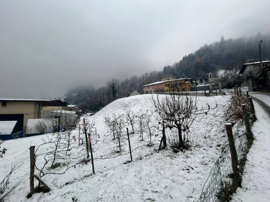 immagine annuncio 6 di 11