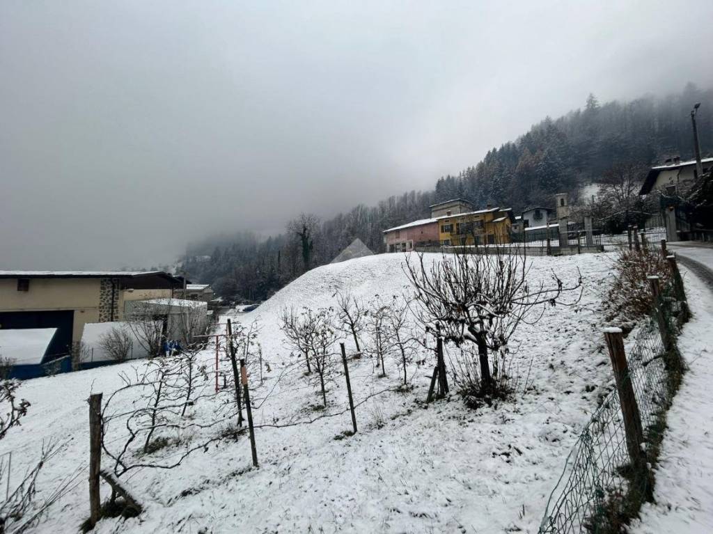 immagine annuncio 7 di 11