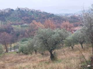 Terreno agricolo in vendita a veroli contrada carpinette, 30