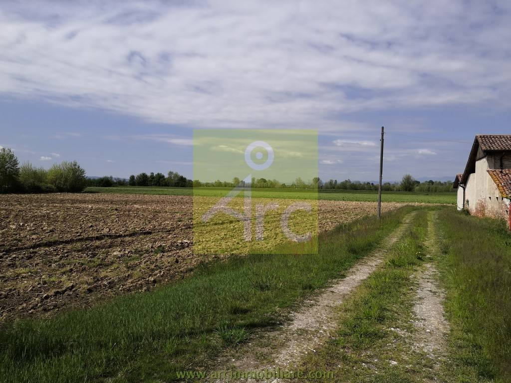 Terreno Agricolo in vendita a Camisano Vicentino via Seghe, 41