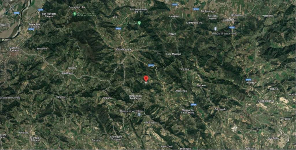 immagine annuncio 6 di 15