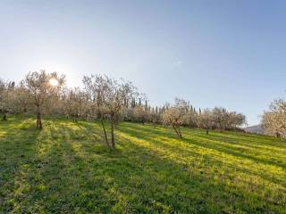 Terreno agricolo in vendita a carmignano via dello sport