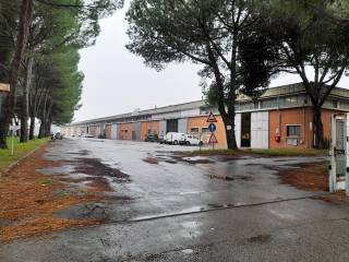 Capannone industriale in vendita a firenze via pratese, 18