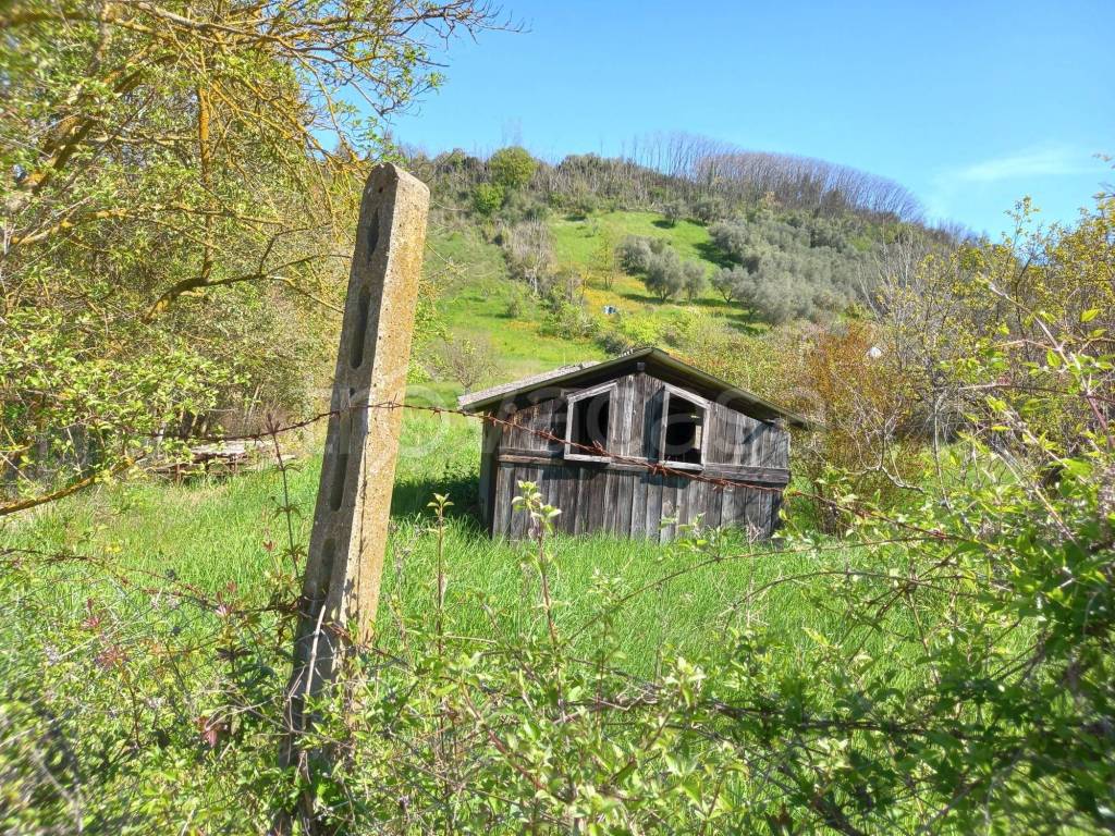immagine annuncio 3 di 6