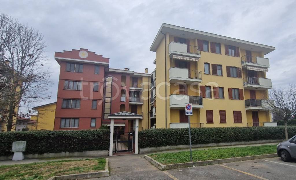 immagine annuncio 1 di 15