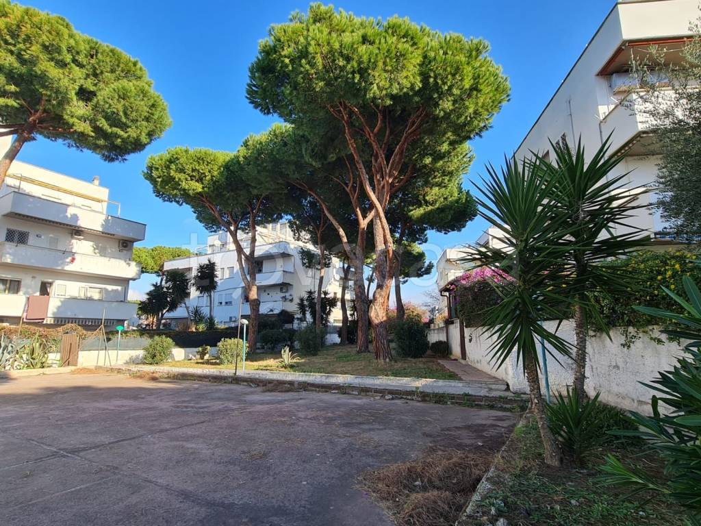 Appartamento in vendita a Santa Marinella via Enrico Fermi, 5