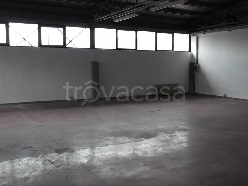 immagine annuncio 3 di 7